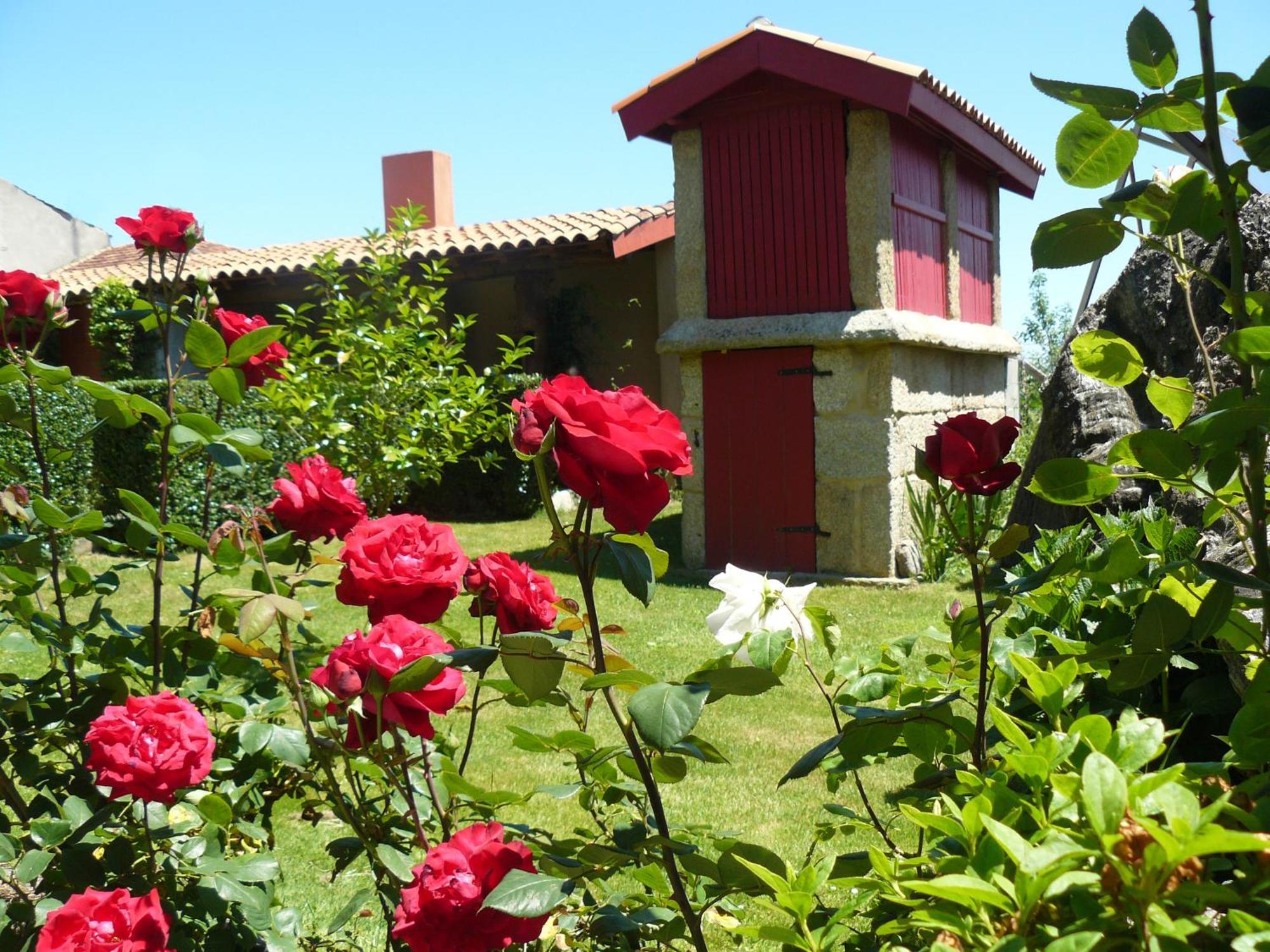 Hotel A Palleira Allariz Exterior photo